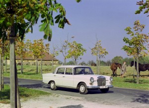 w110.jpg1